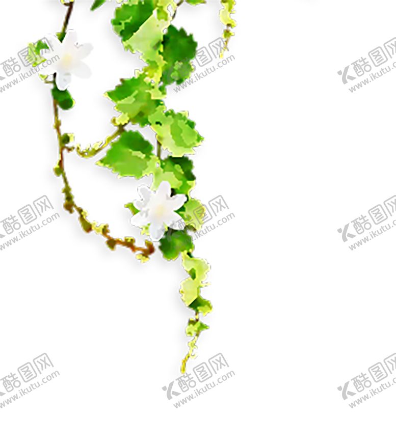 编号：54513109231828114276【酷图网】源文件下载-植物