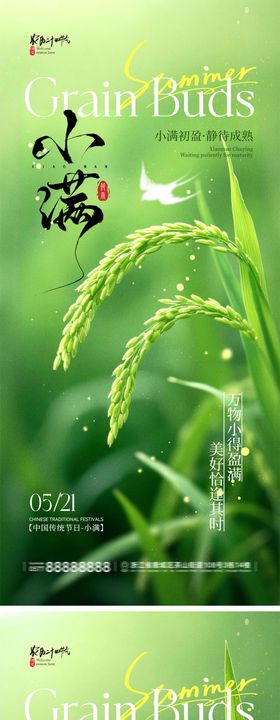 小满节气宣传海报