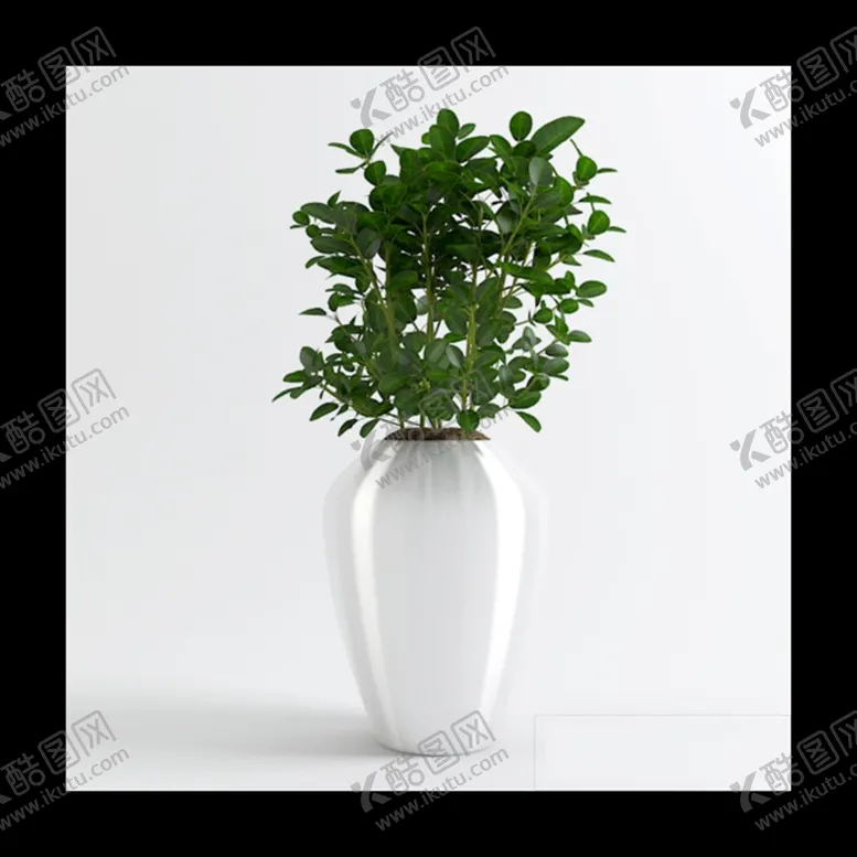 编号：47729302092159198713【酷图网】源文件下载-植物模型
