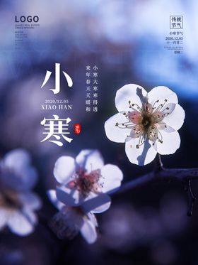 红色窗户喜庆梅花2021小寒节气海报