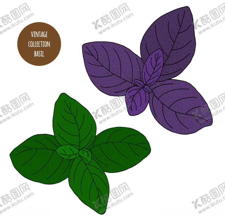 编号：88198807040050521322【酷图网】源文件下载-植物线稿