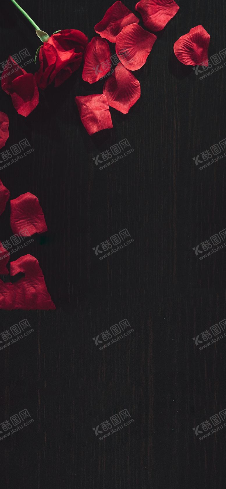 编号：31257905160022248357【酷图网】源文件下载-手机壁纸