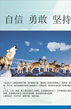 自信勇敢坚持