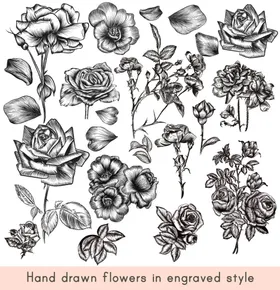 手绘花卉树叶清新水彩插画