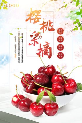 美味樱桃采摘