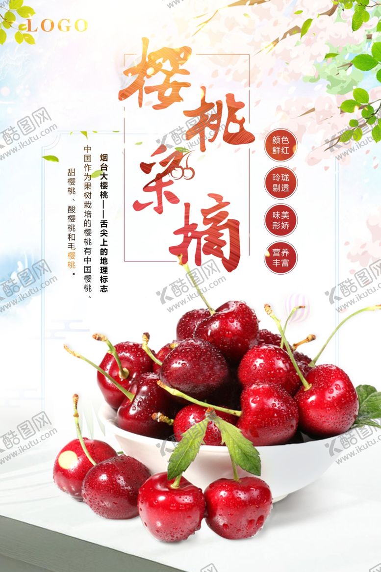编号：45953306250046026168【酷图网】源文件下载-樱桃采摘