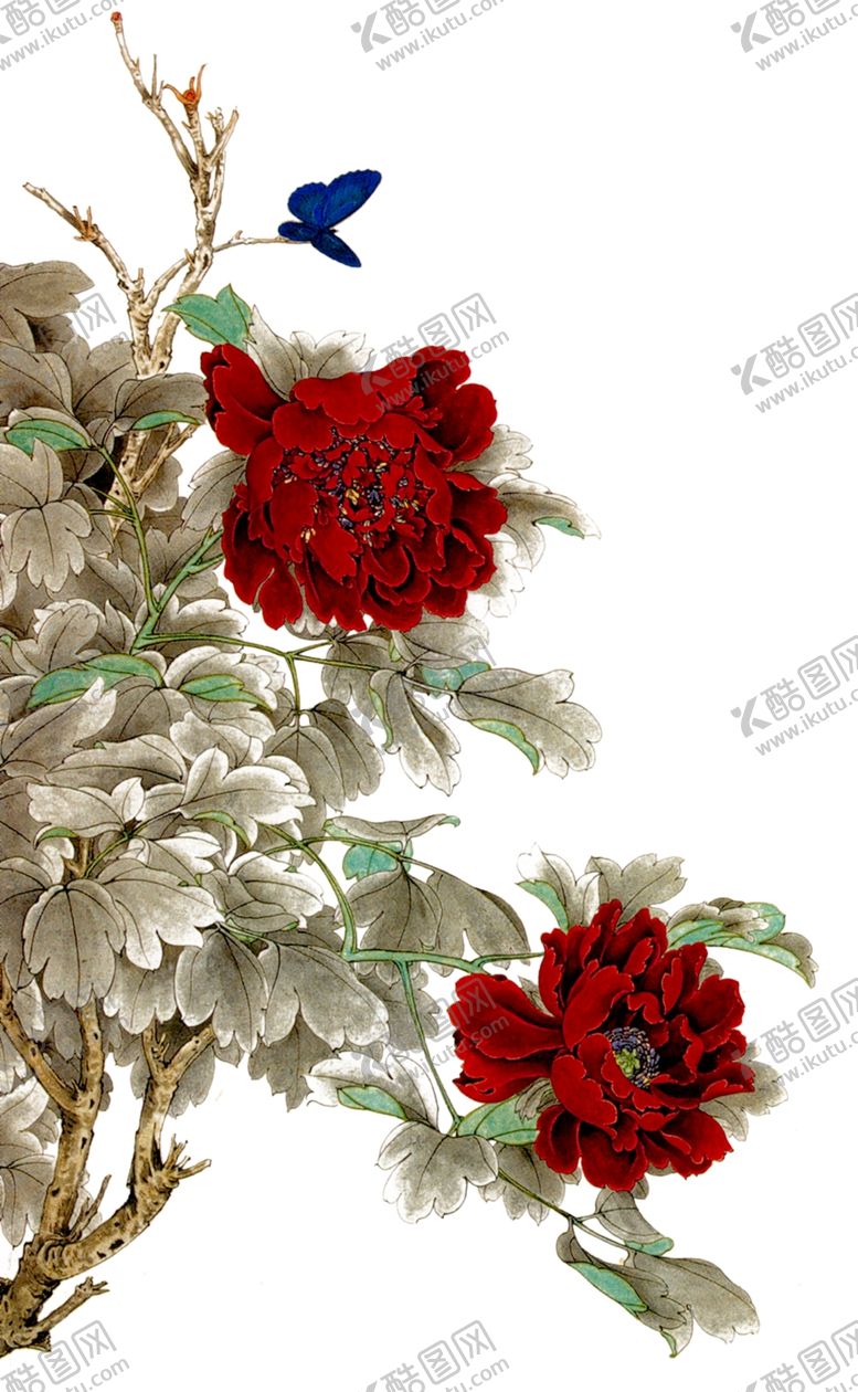 编号：53214910291147339239【酷图网】源文件下载-牡丹花