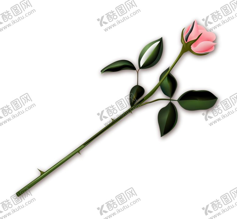 编号：52398906271006556070【酷图网】源文件下载-鲜花素材
