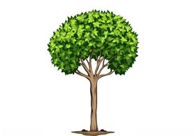 卡通树