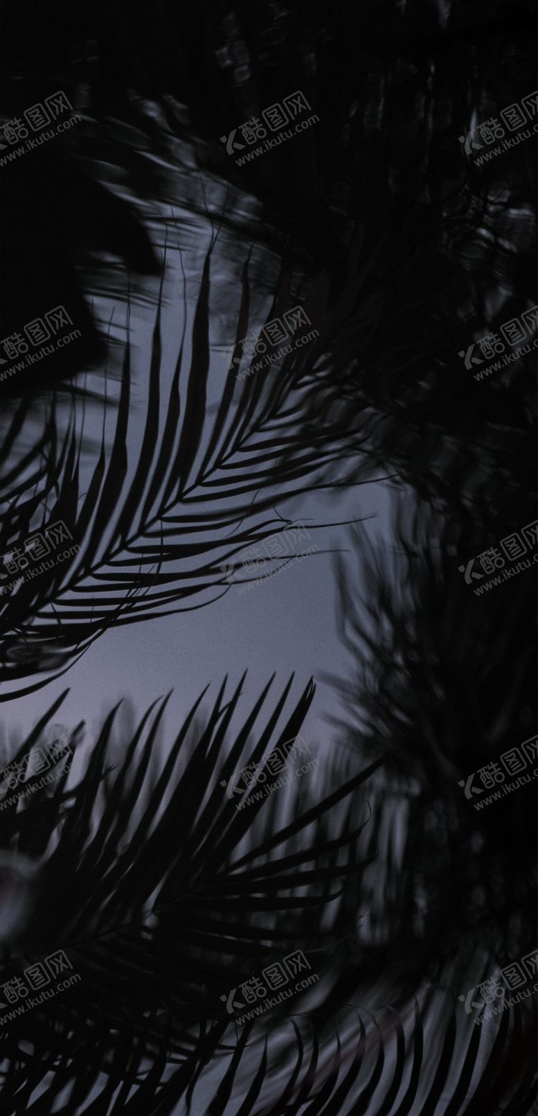编号：17256603210452234682【酷图网】源文件下载-高端背景