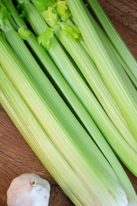 芹菜西芹