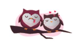 IP猫头鹰老鹰形象情侣