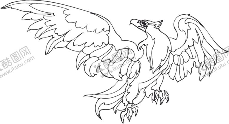 编号：55837209140858169100【酷图网】源文件下载-老鹰