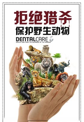 保护野生动物