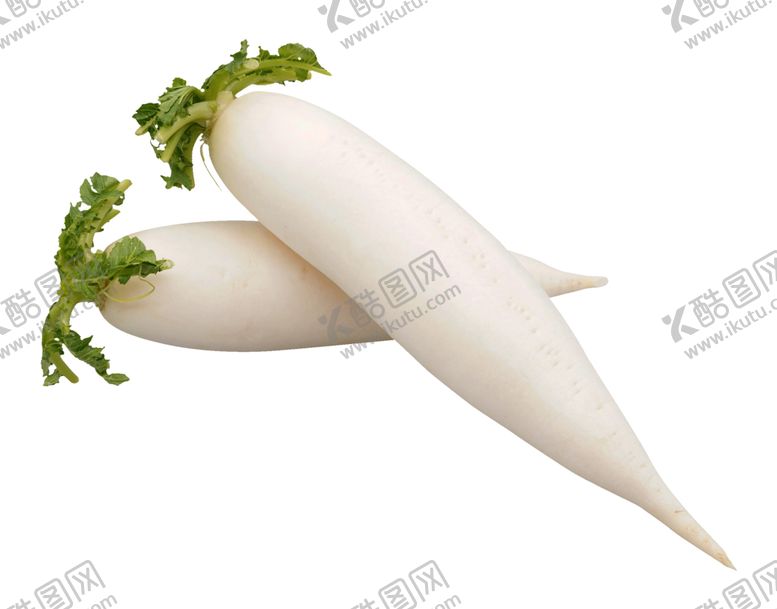 编号：35569009300930043780【酷图网】源文件下载-白萝卜