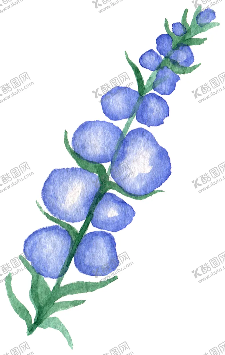 编号：33987306271030288198【酷图网】源文件下载-手绘植物