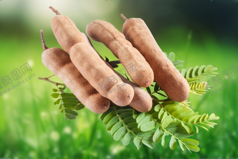 编号：73262010012343326901【酷图网】源文件下载-免抠酸角