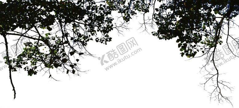 编号：15490107140916007693【酷图网】源文件下载-挂角树