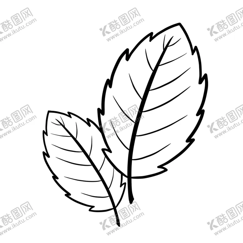 编号：20677706262026227063【酷图网】源文件下载-薄荷叶