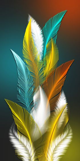 羽毛装饰画