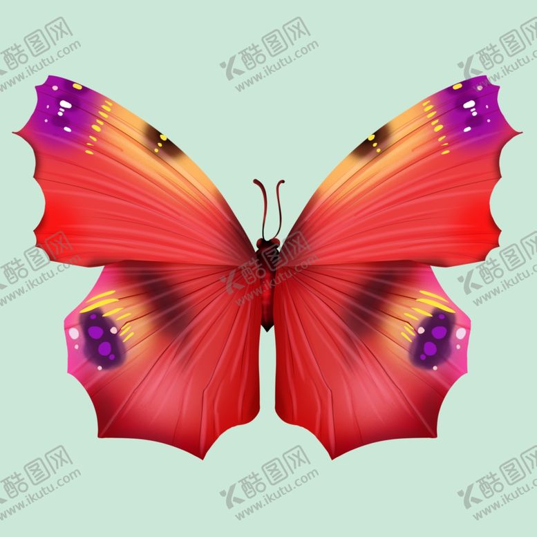 蝴蝶装饰画插画素材