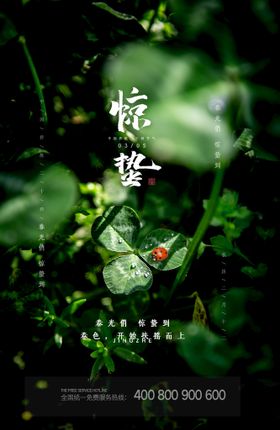 惊蛰 节气 立春