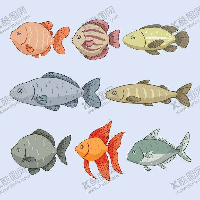 编号：79618009161036567924【酷图网】源文件下载-海洋生物 