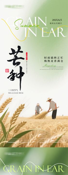 芒种海报麦子小麦小满