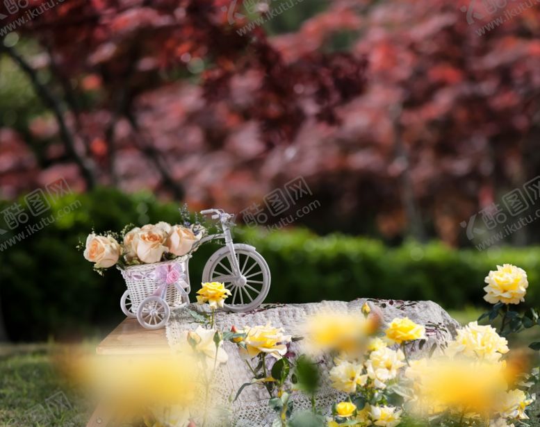 编号：79376509290337202690【酷图网】源文件下载-影楼海报