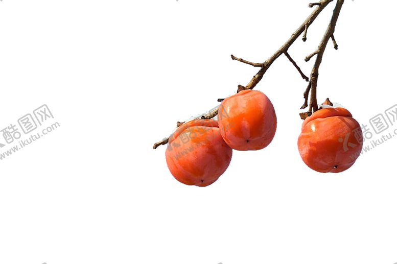 编号：22687609302310346064【酷图网】源文件下载-水果