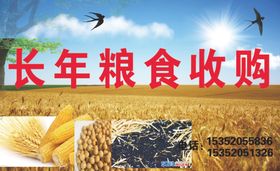 收购粮食