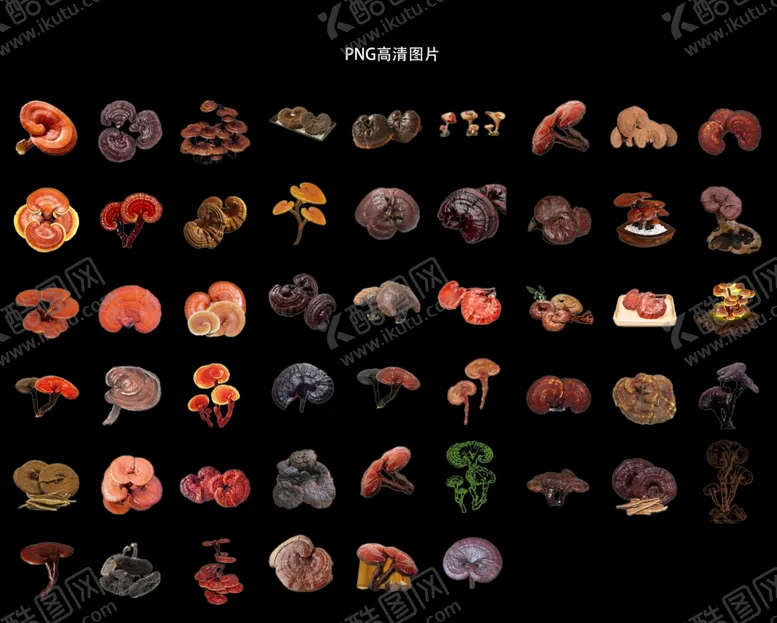 编号：11691202151534169838【酷图网】源文件下载-中药灵芝