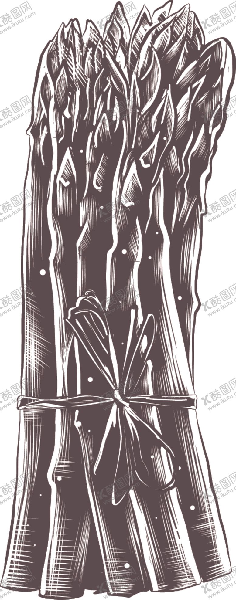 编号：15504609282307355244【酷图网】源文件下载-手绘蔬菜