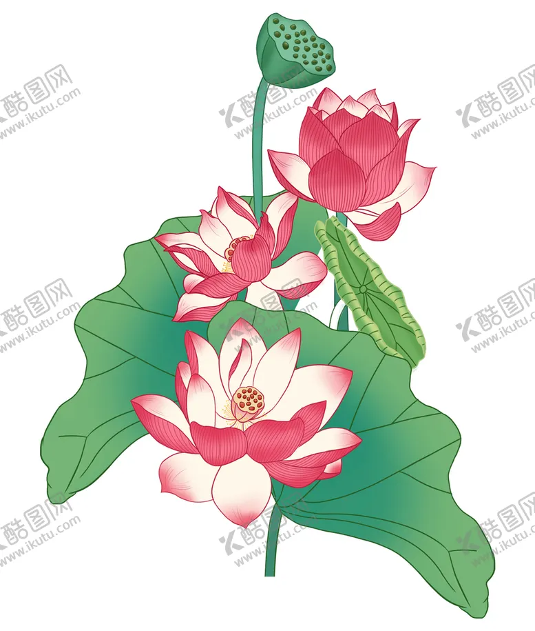 编号：08376409150329200985【酷图网】源文件下载-荷花 荷叶