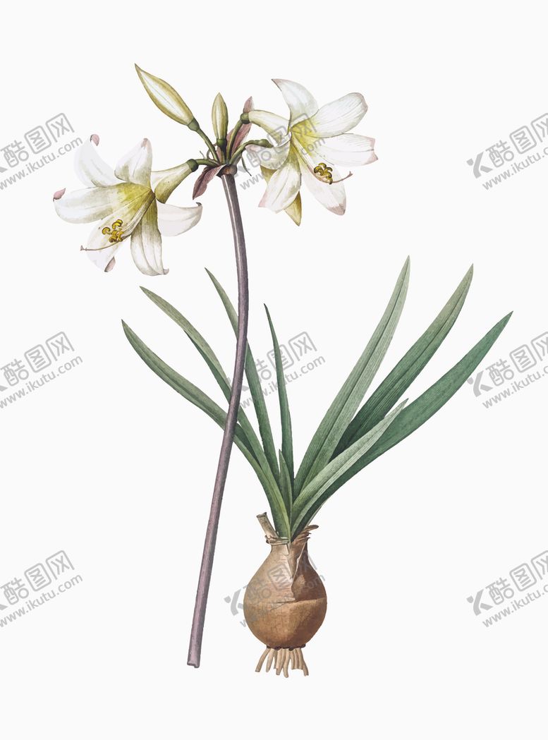 编号：41438710210214071242【酷图网】源文件下载-花纹