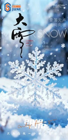 大雪海报