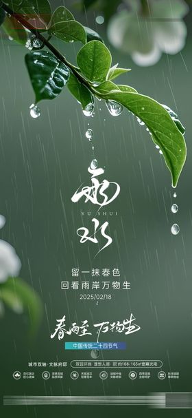 雨水房地产节气海报