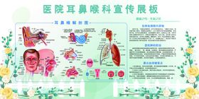 耳鼻喉科医院宣传公益展板素材