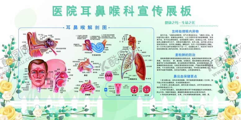 编号：53064711010817543228【酷图网】源文件下载-耳鼻喉科医院宣传公益展板素材