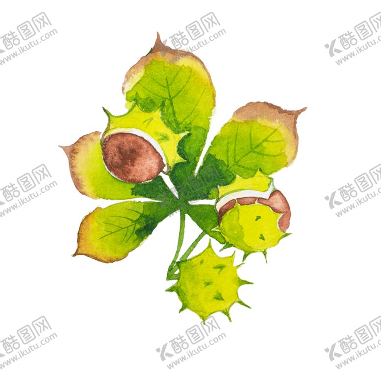 编号：49392507070511276691【酷图网】源文件下载-手绘植物