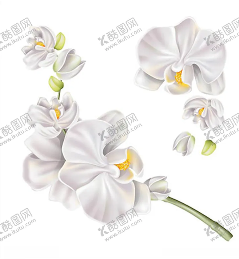 编号：73082407020440084175【酷图网】源文件下载-绿叶大树花朵水彩鲜花花朵