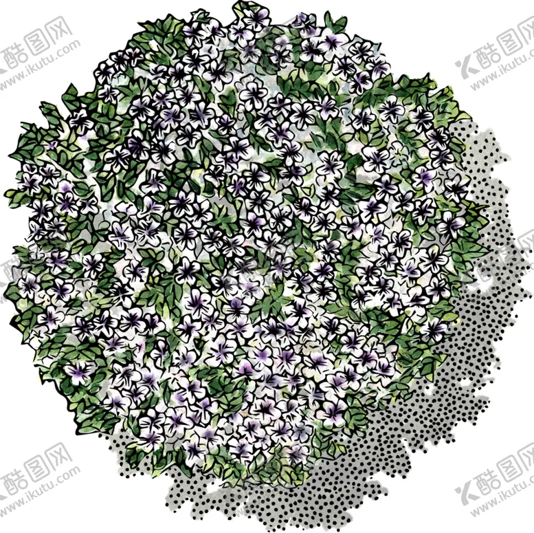 编号：77885706291058465748【酷图网】源文件下载-手绘植物