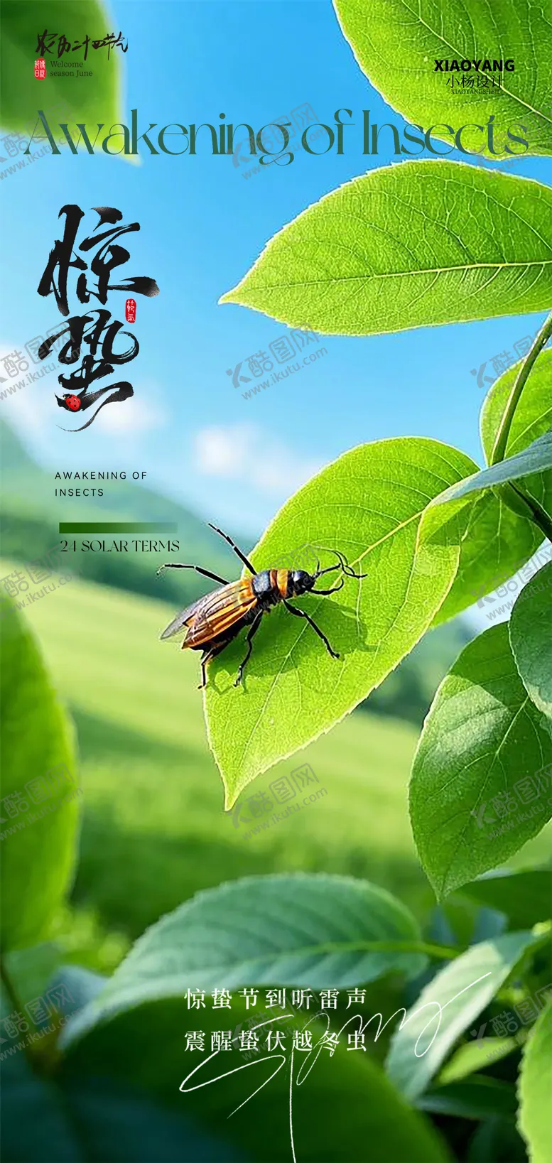 编号：61433602202312586090【酷图网】源文件下载-昆虫绿色惊蛰节气海报