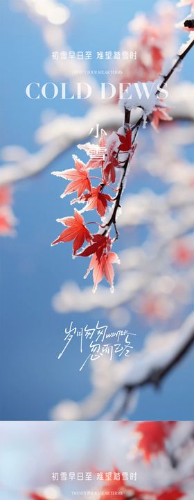 冬至立冬小雪大雪