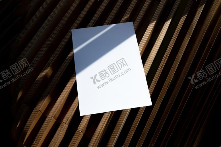 编号：96131102071203588320【酷图网】源文件下载-潮流VI样机