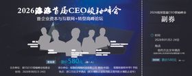 CEO峰会门票贵宾票