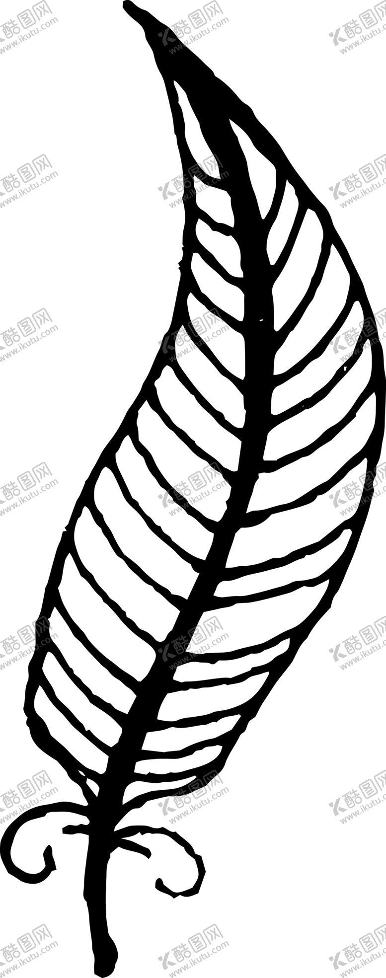 编号：57536010140541505218【酷图网】源文件下载-创意手绘羽毛