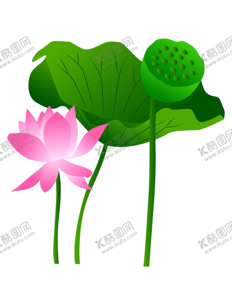 编号：96693404272207513700【酷图网】源文件下载-荷花元素