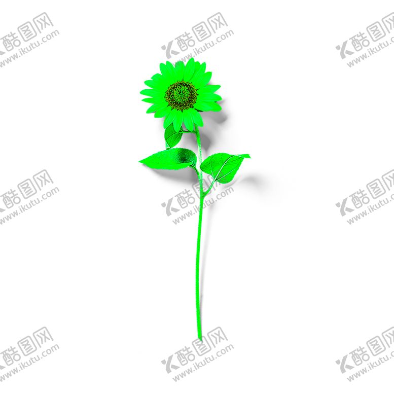编号：99256010250848486597【酷图网】源文件下载-花素材