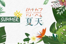 你好，夏天！